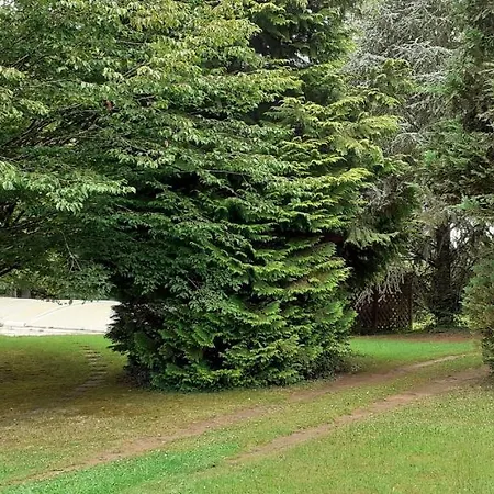 Au Jardin De Petronille Et Poupounette